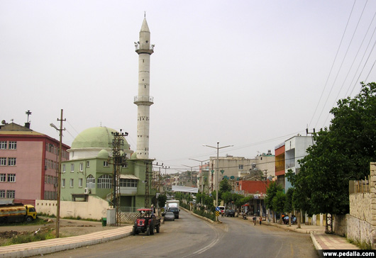 Pedalla Türkiye - Ömerli Merkez